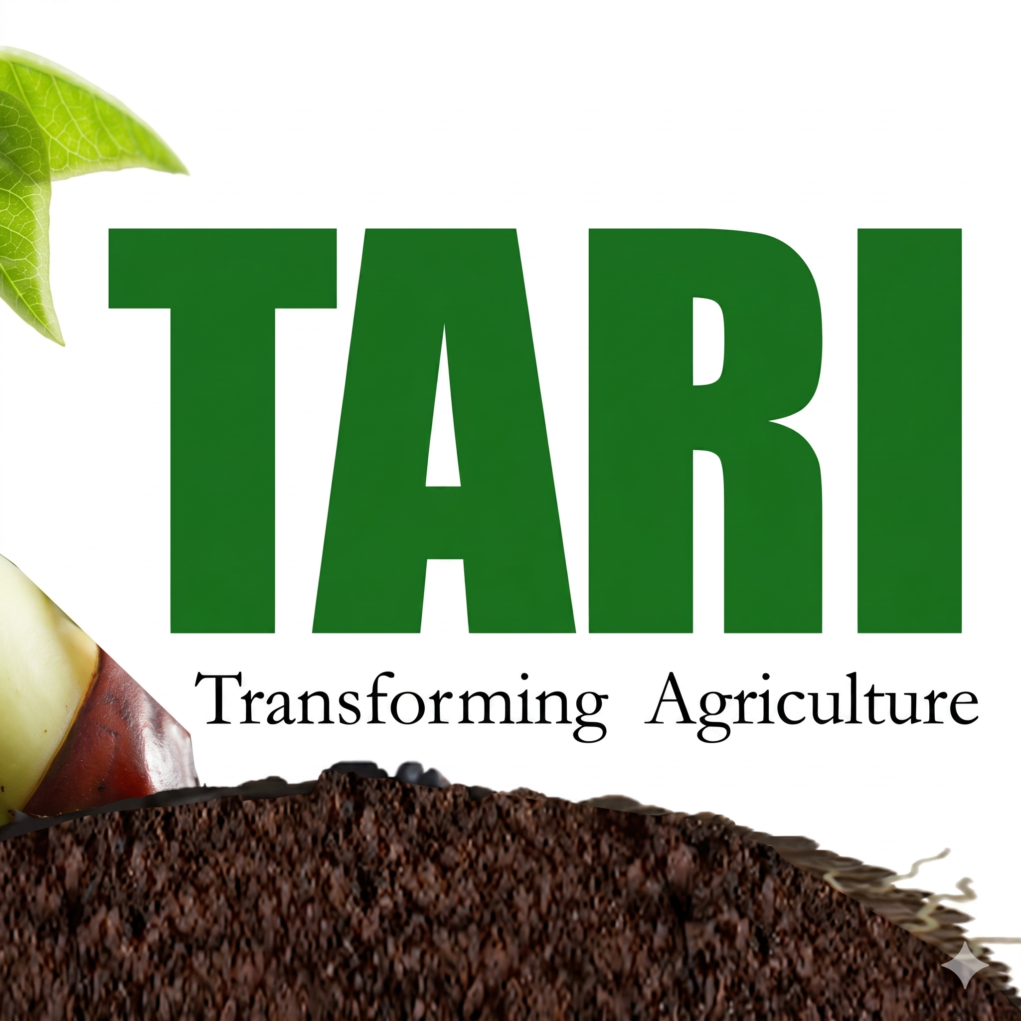 TARI